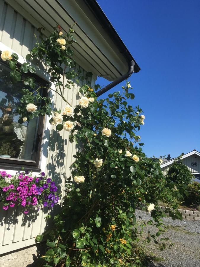 Airbnbekasberg Olofstorp Ngoại thất bức ảnh