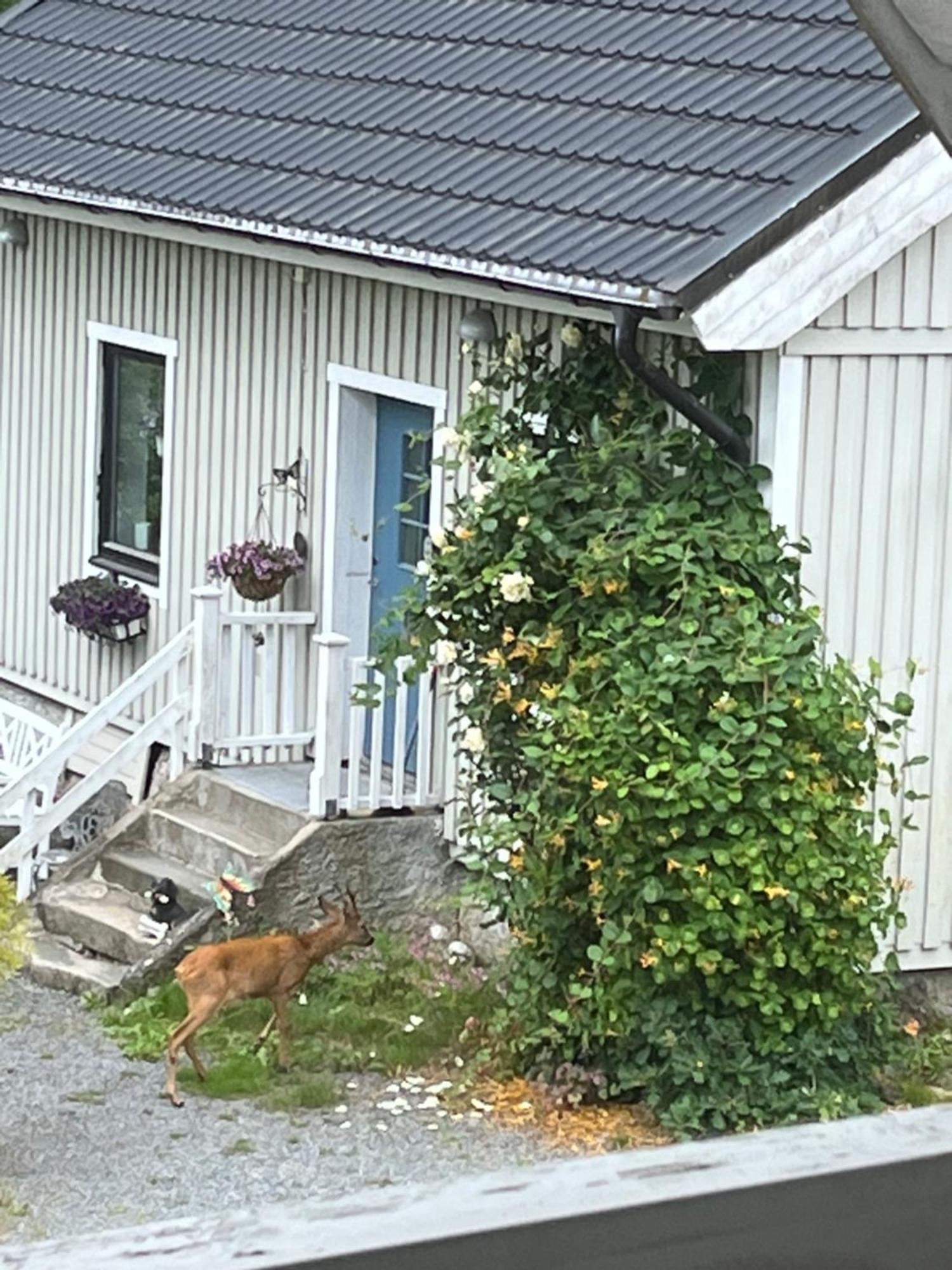Airbnbekasberg Olofstorp Ngoại thất bức ảnh